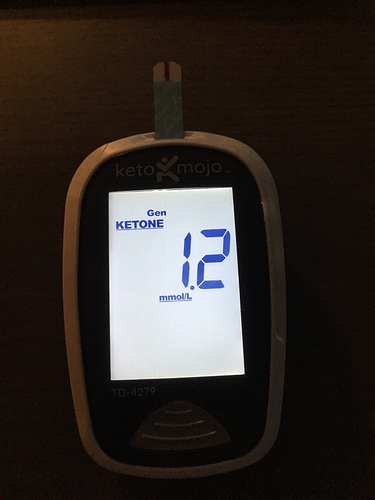 2019%20Fasting%20Day%202%20of%203%20%20Ketones